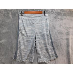 Nike Shorts Mens XL Blue Striped Dri-FIT Athletic Quick Dry Pockets 12in